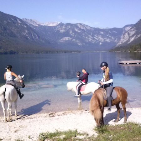 Tubej Mountain Room With Terase Bohinjska Bistrica Eksteriør bilde