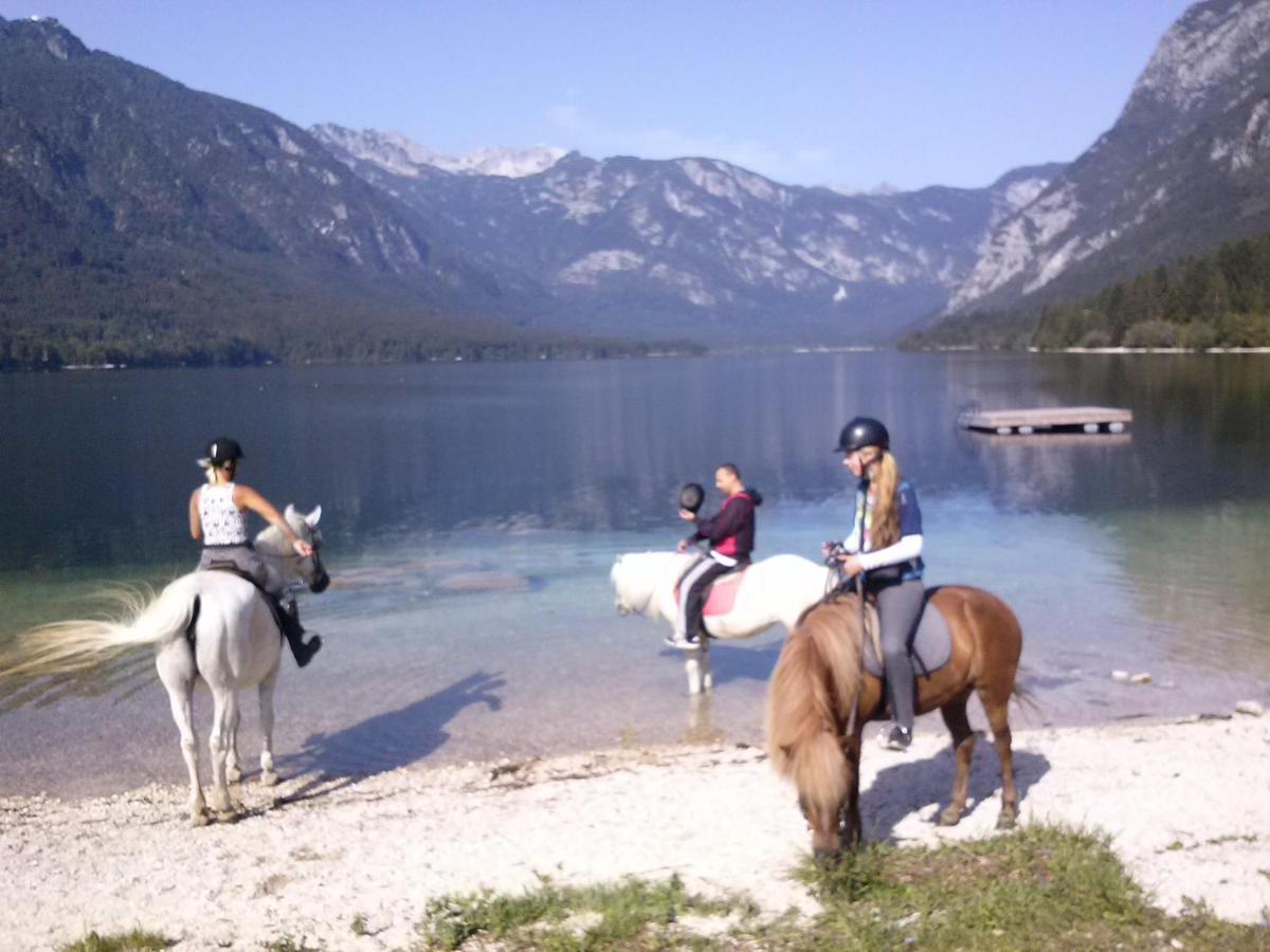 Tubej Mountain Room With Terase Bohinjska Bistrica Eksteriør bilde